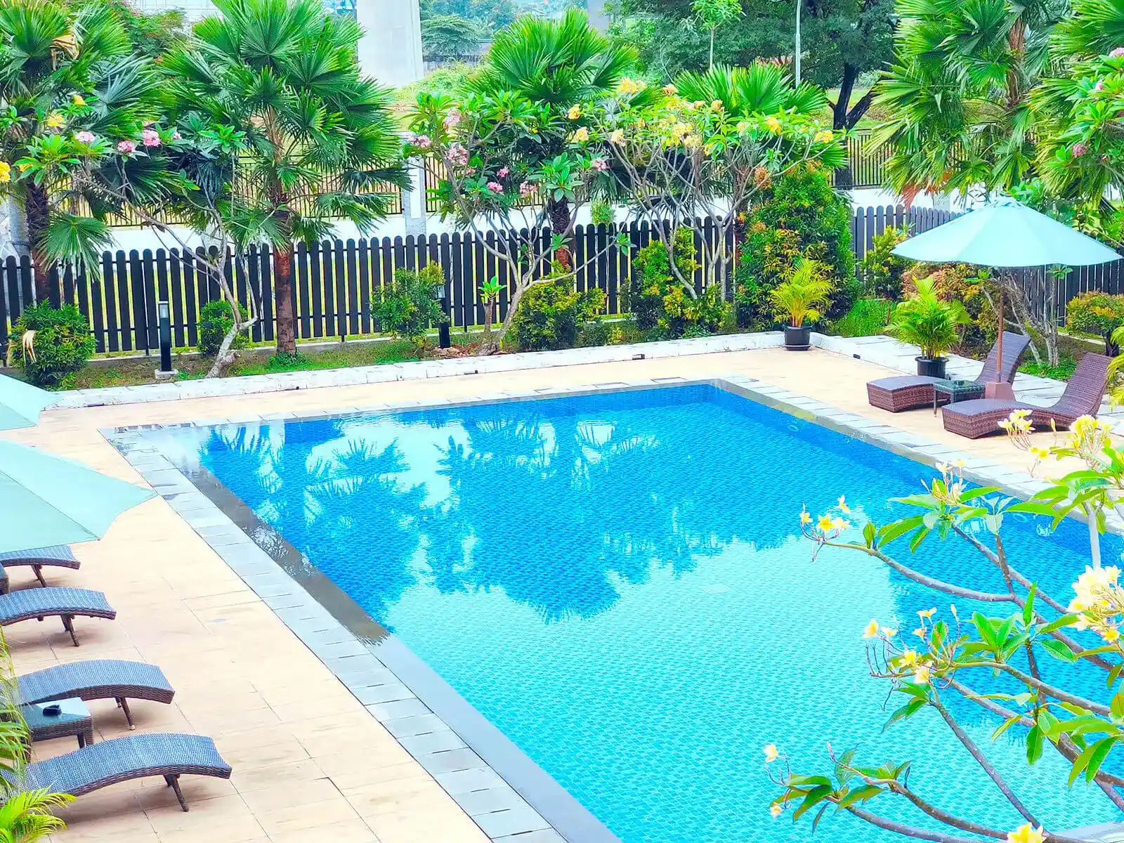 Le Premier Hotel Kota Deltamas - Swimming Pool